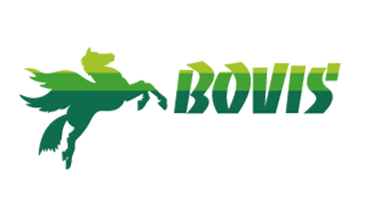 Logo Bovis